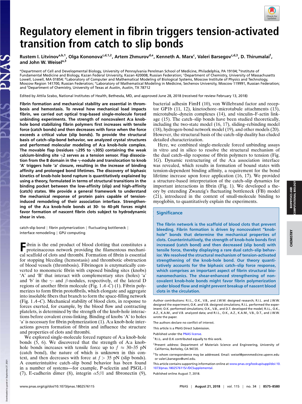 Regulatory Element in Fibrin Triggers Tension-Activated Transition from Catch to Slip Bonds