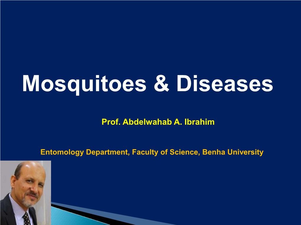 Mosquitoes & Diseases