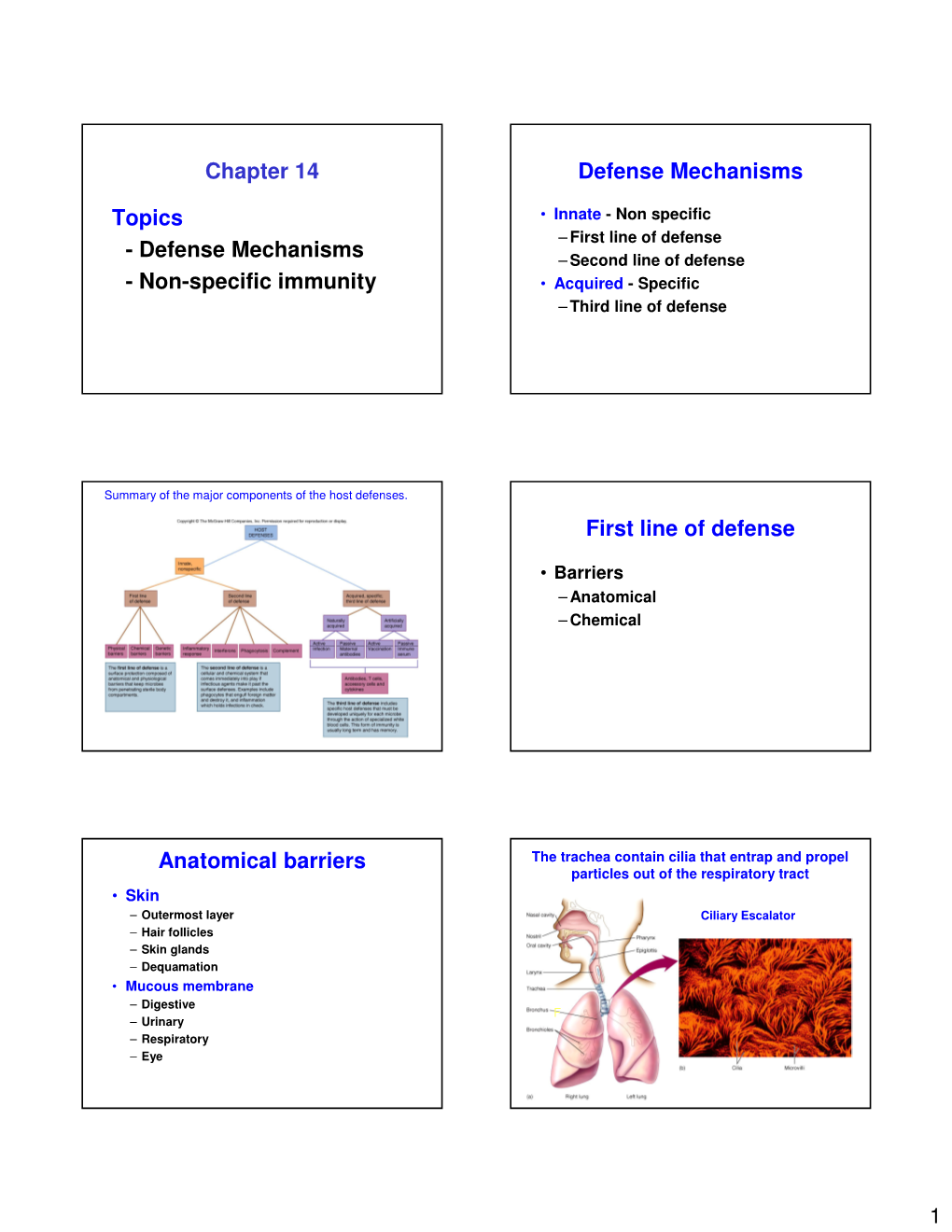 Non-Specific Immunity Defense Mechanisms First Line of Defense