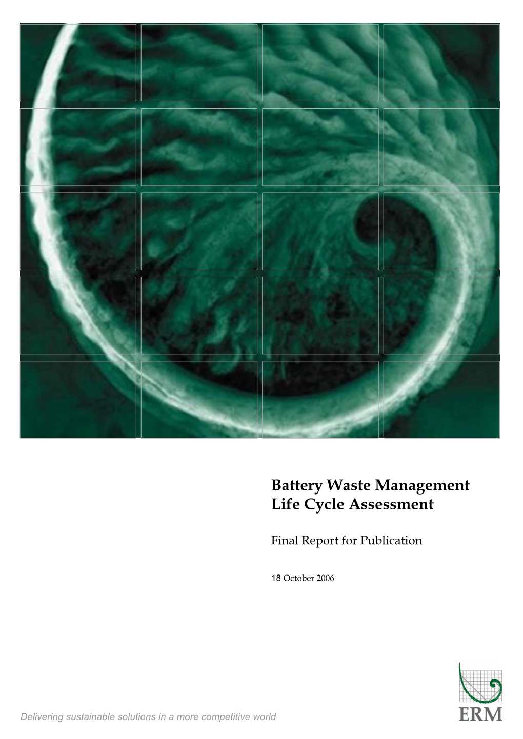 Battery Waste Management Life Cycle Assessment