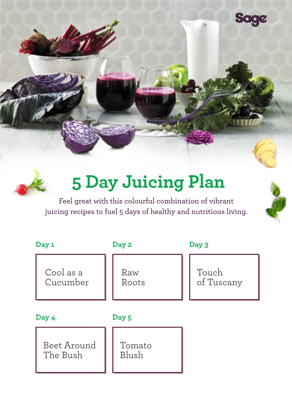 5 Day Juicing Plan Feel Great with This Colourful Combination of Vibrant Juicing Recipes to Fuel 5 Days of Healthy and Nutritious Living