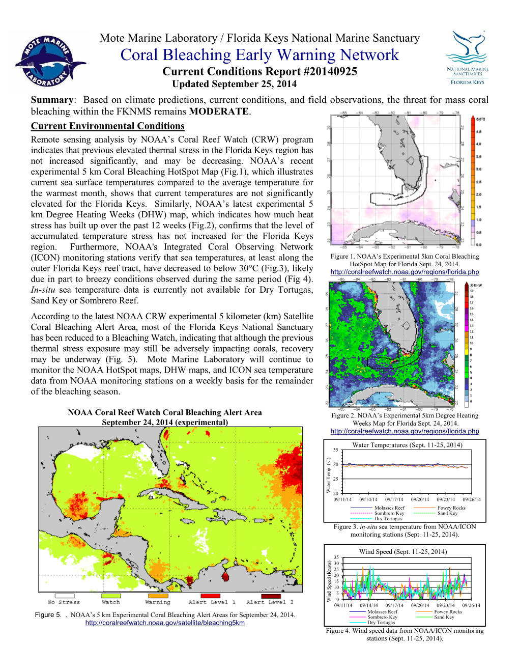 What Is Coral Bleaching