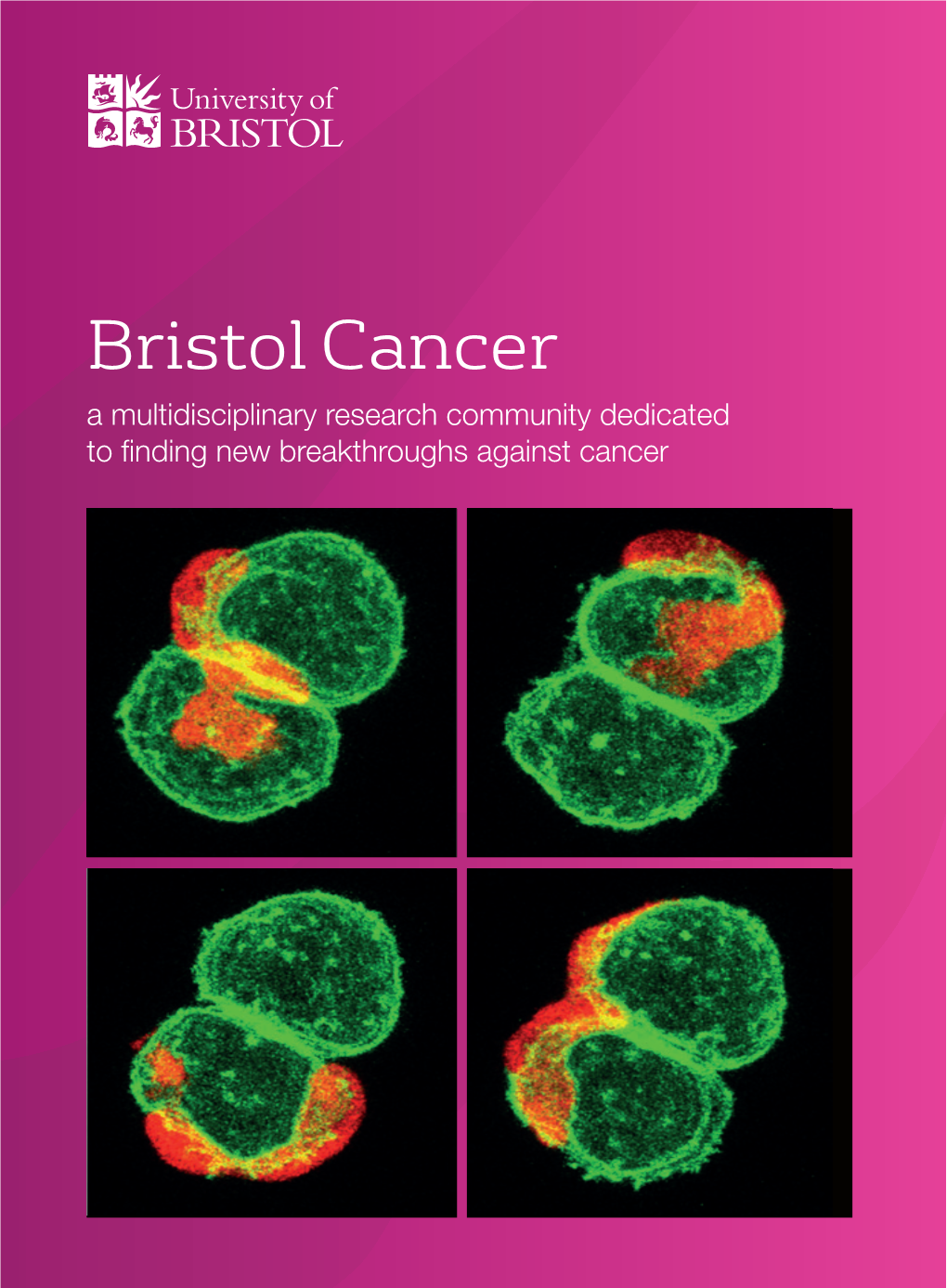 Bristol Cancer