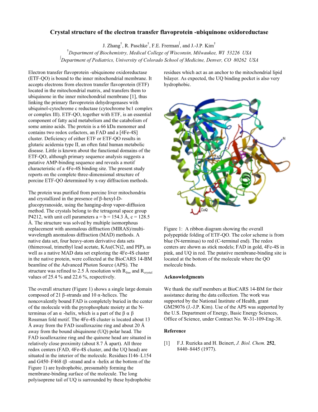 Crystal Structure of the Electron Transfer Flavoprotein -Ubiquinone Oxidoreductase