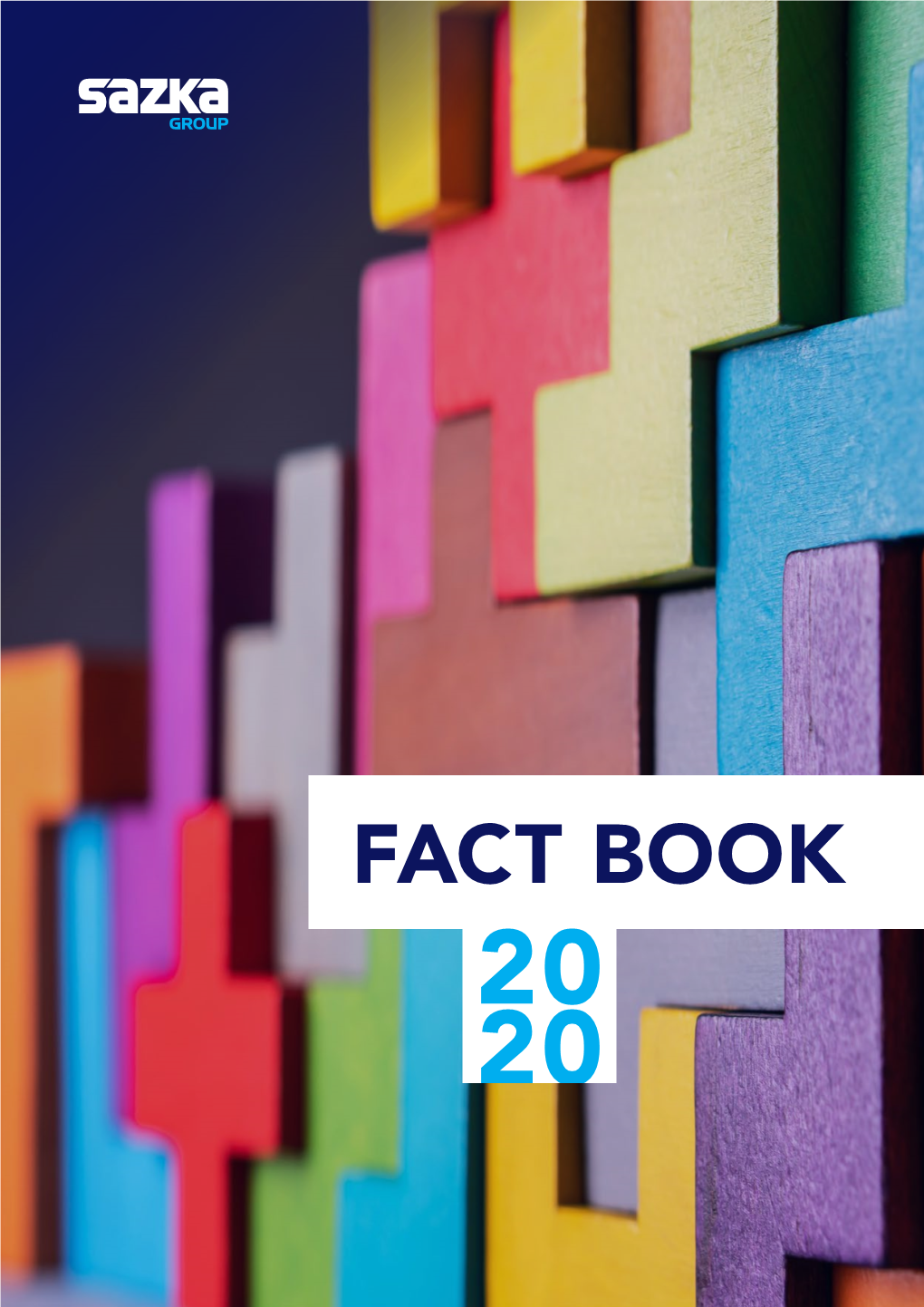 Fact Book 20 20