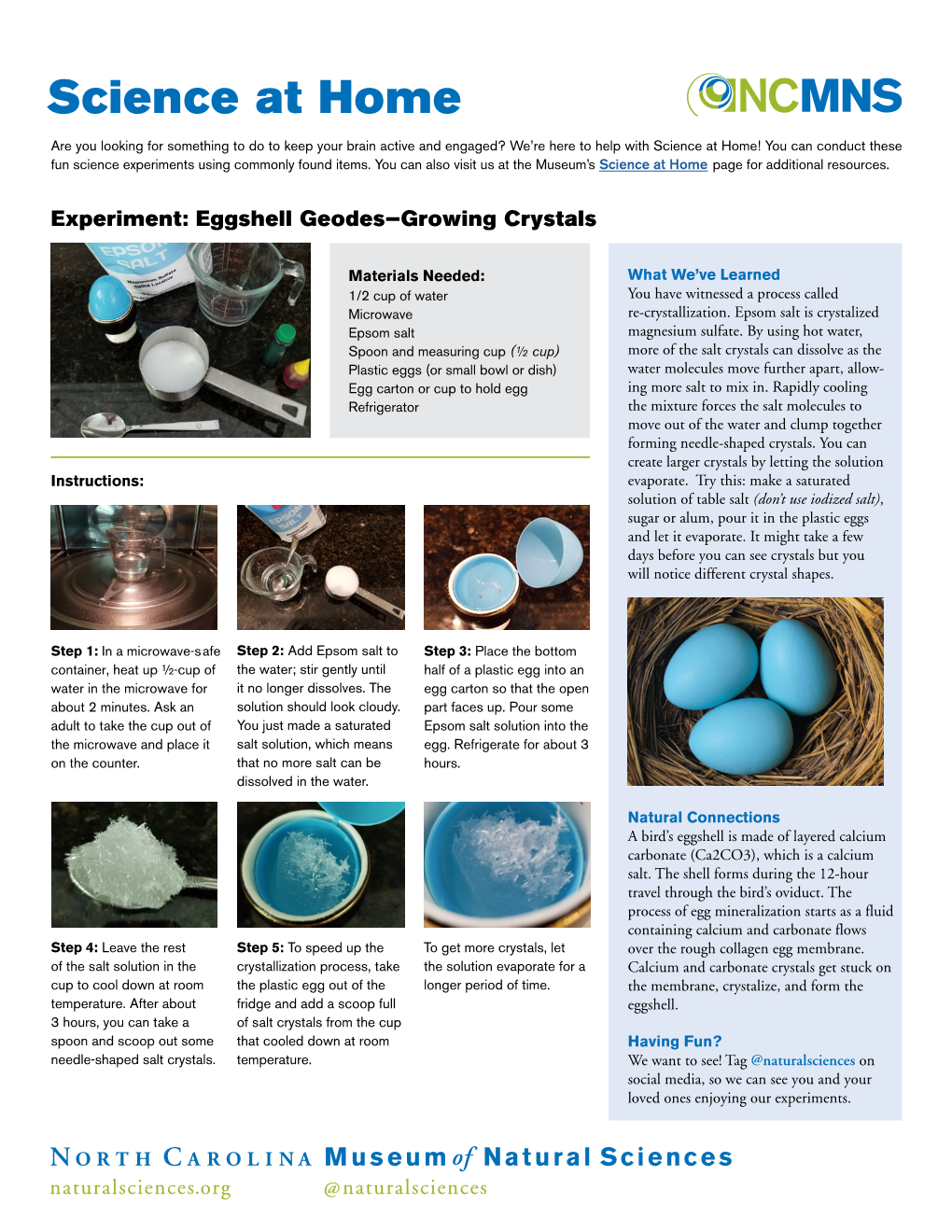 Eggshell Geodes—Growing Crystals
