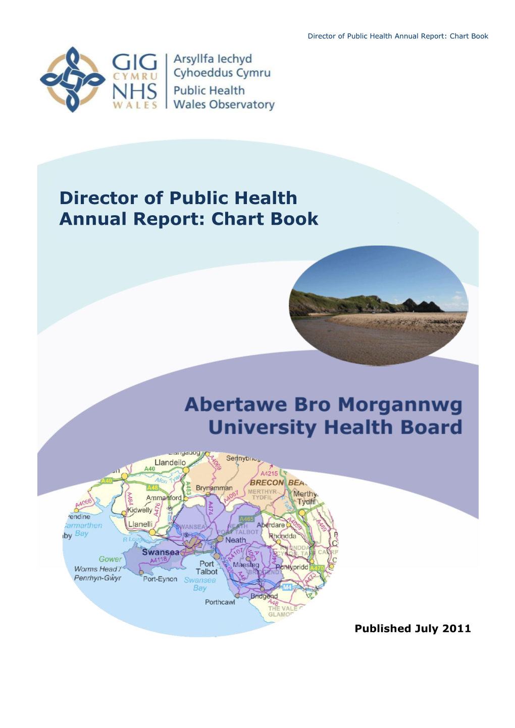 Director of Public Health Annual Report: Chart Book for Abertawe