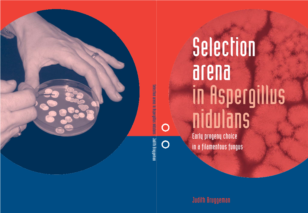 Early Progeny Choice in a Filamentous Fungus Judith Bruggeman Selection Selection Arena in Aspergillus Nidulans