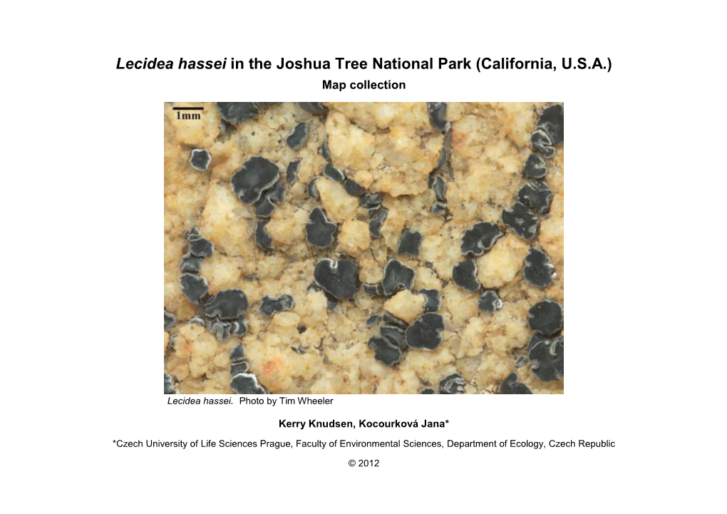 Lecidea Hassei in the Joshua Tree National Park (California, U.S.A.) Map Collection