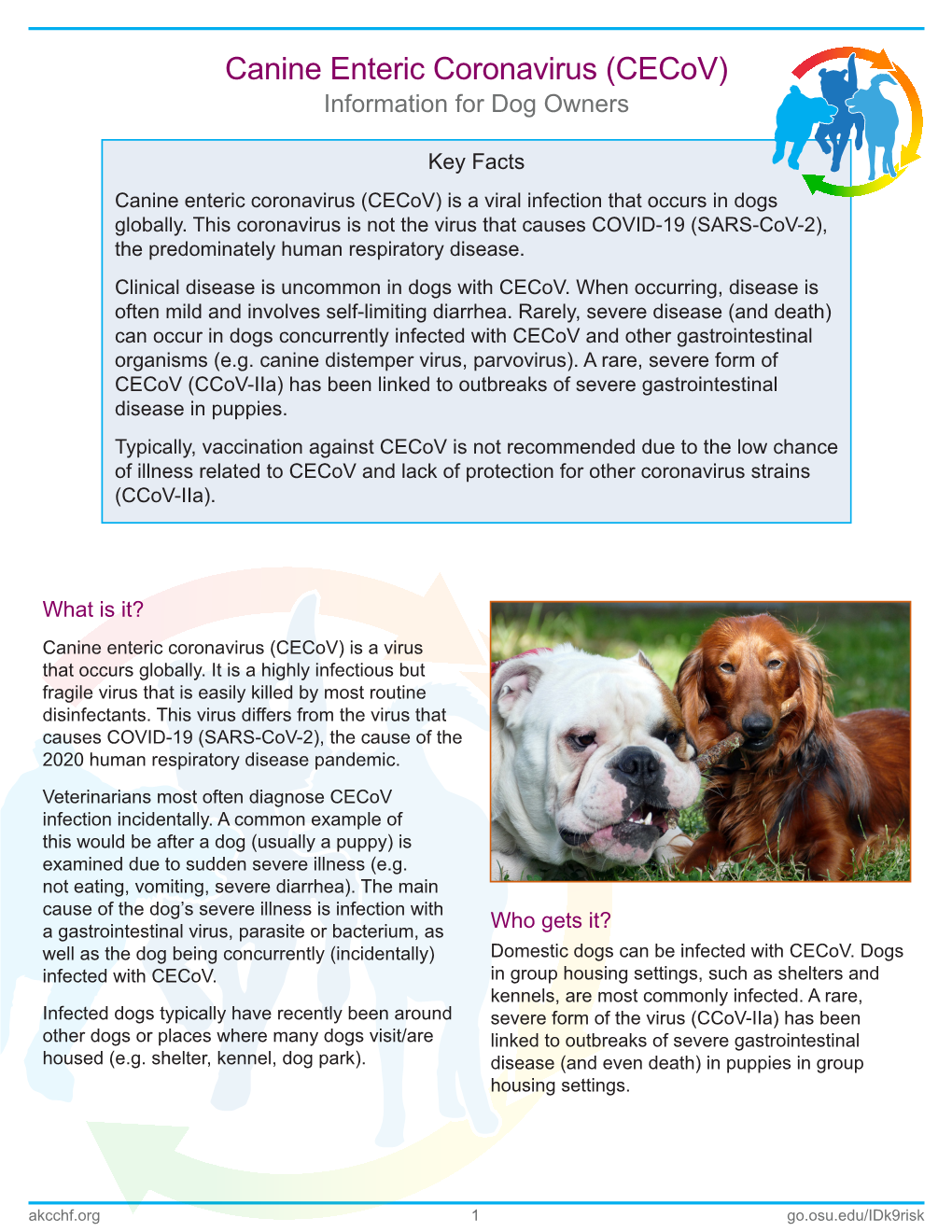 Canine Enteric Coronavirus (Cecov) Information for Dog Owners