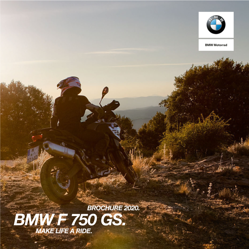 Bmw F 750 Gs