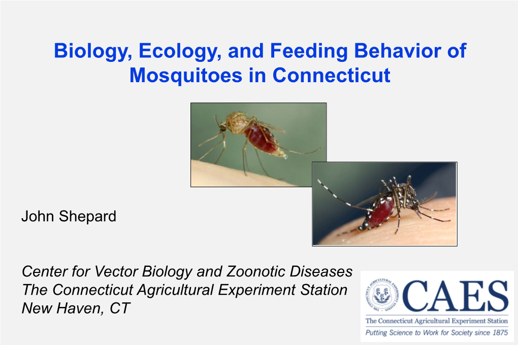Biology, Ecology, and Feeding Behavior of Mosquitoes in Connecticut