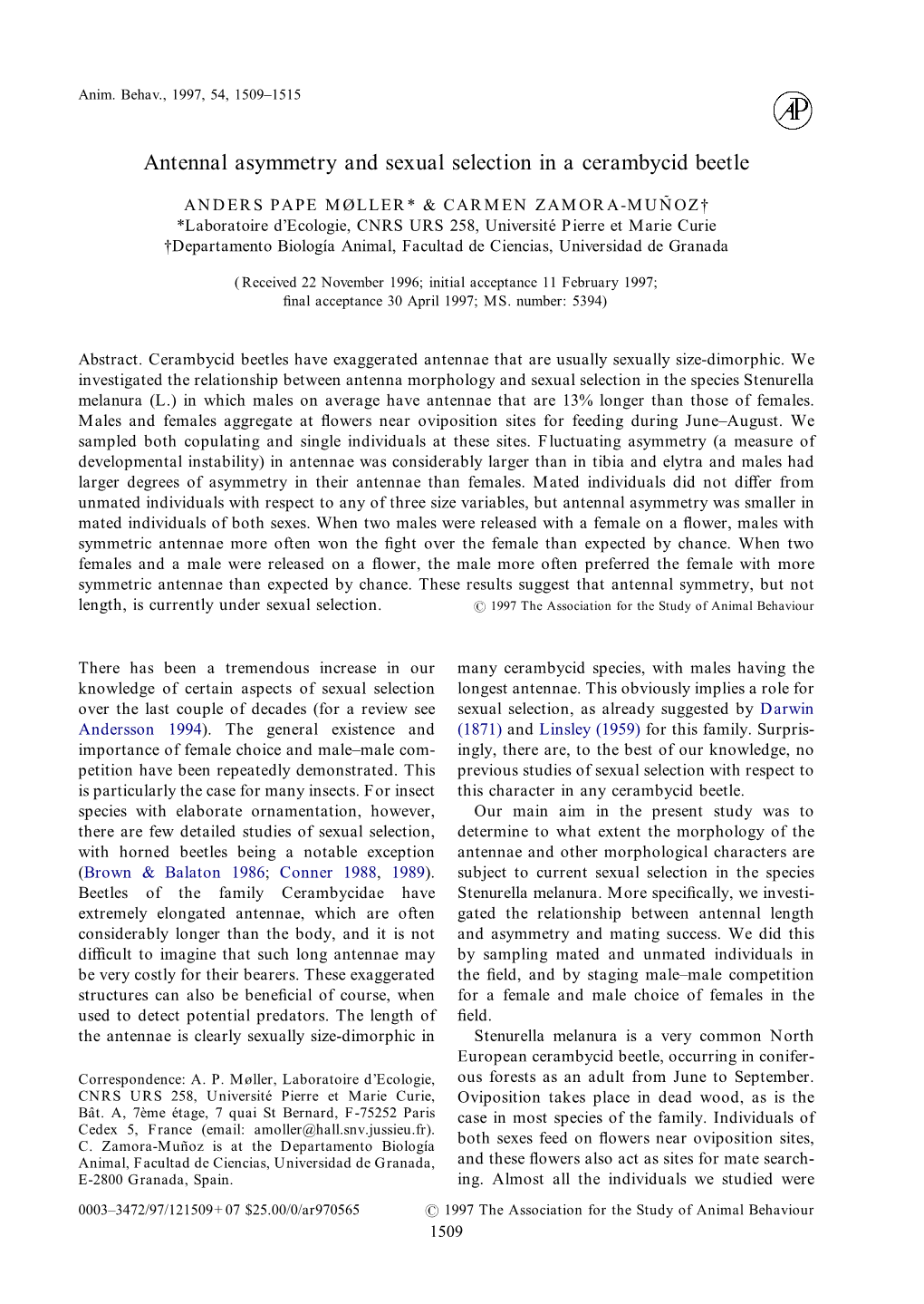 Antennal Asymmetry and Sexual Selection in a Cerambycid Beetle