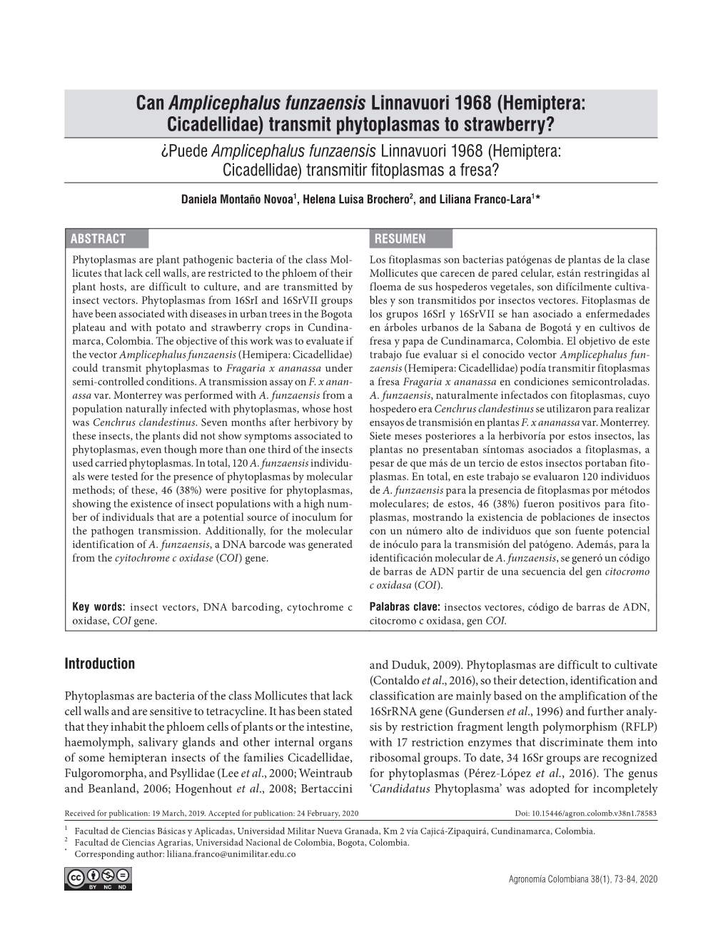 Transmit Phytoplasmas to Strawberry? ¿Puede Amplicephalus Funzaensis Linnavuori 1968 (Hemiptera: Cicadellidae) Transmitir Fitoplasmas a Fresa?