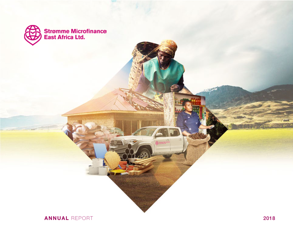 Stromme MFEA Annual Report 2018