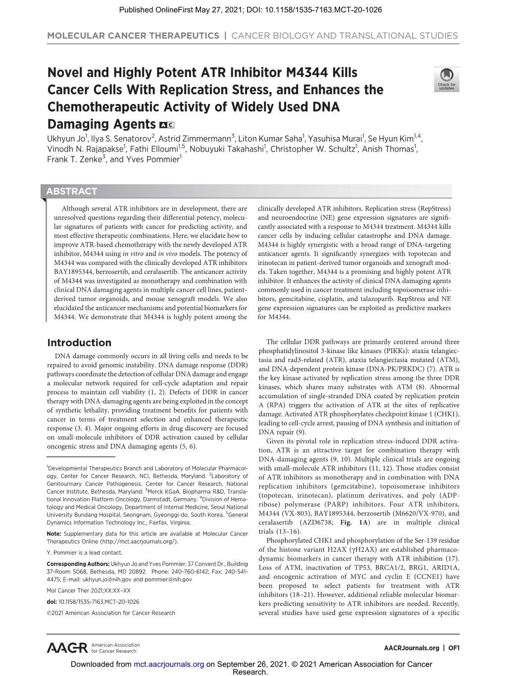 Novel and Highly Potent ATR Inhibitor