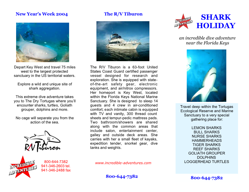 Shark Holiday, Key West