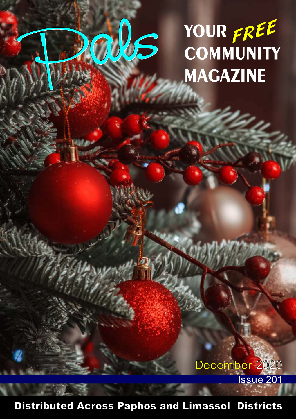 December 2020 Issue 201