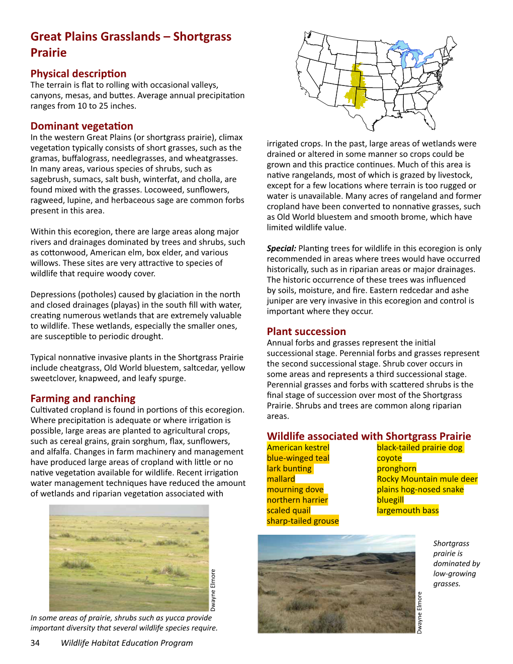 Great Plains Grasslands – Shortgrass Prairie Physical Description the Terrain Is Flat to Rolling with Occasional Valleys, Canyons, Mesas, and Buttes