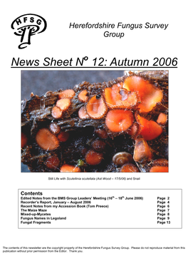 News Sheet N 12: Autumn 2006