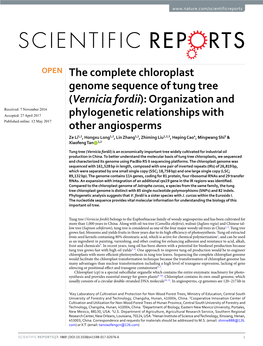 The Complete Chloroplast Genome Sequence of Tung Tree