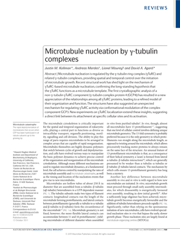 Microtubule Nucleation by Γ-Tubulin Complexes