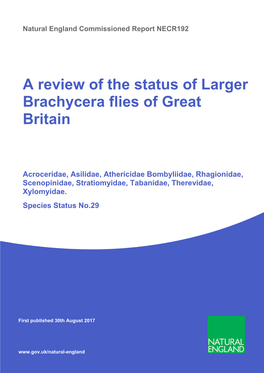 A Review of the Status of Larger Brachycera Flies of Great Britain