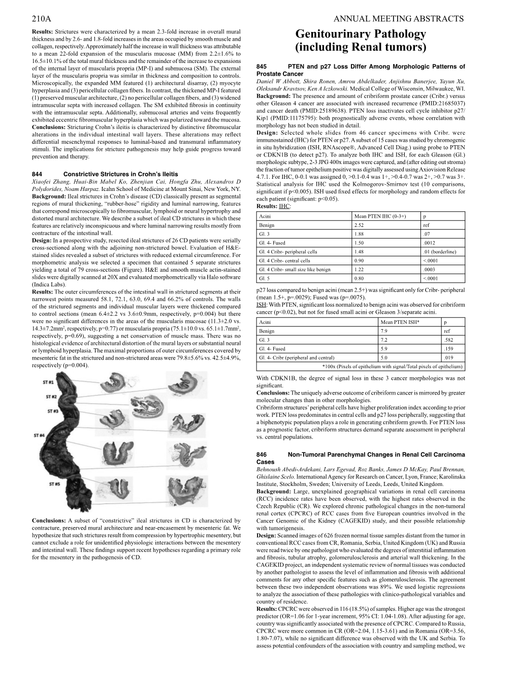 Genitourinary Pathology (Including Renal Tumors)