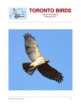 Toronto Birds 5 (2) February 2011 26 TORONTO BIRDS – the Journal of Record of the Birds of the Greater Toronto Area (GTA)