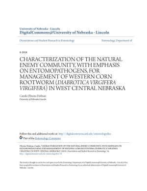 Characterization of the Natural Enemy Community, with Emphasis On