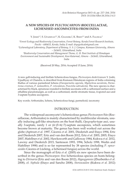 A New Species of Plectocarpon (Roccellaceae, Lichenised Ascomycetes) from India