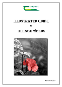 Illustrated Guide Tillage Weeds