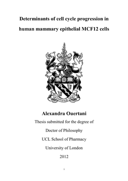 Determinants of Cell Cycle Progression in Human Mammary Epithelial MCF12 Cells