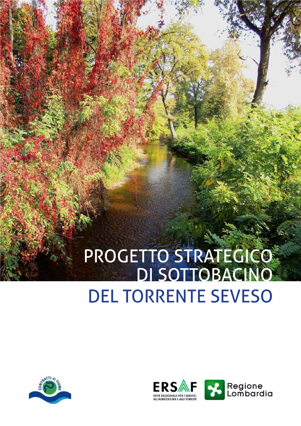 Progetto Strategico Di Sottobacino Del Torrente Seveso Progetto Strategico Di Sottobacino Del Torrente Seveso Novembre 2017 Approvato Con Deliberazione N