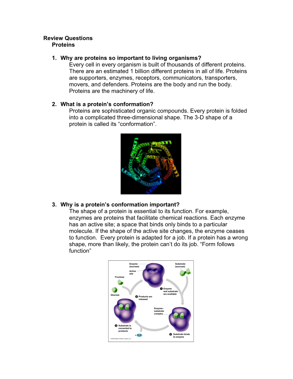 Review Questions Proteins