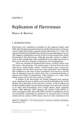 Replication of Flaviviruses