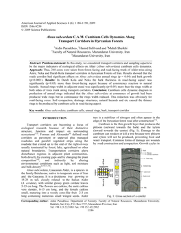 Alnus Subcordata C.A.M. Cambium Cells Dynamics Along Transport Corridors in Hyrcanian Forests