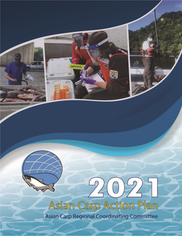 View the 2021 Asian Carp Action Plan
