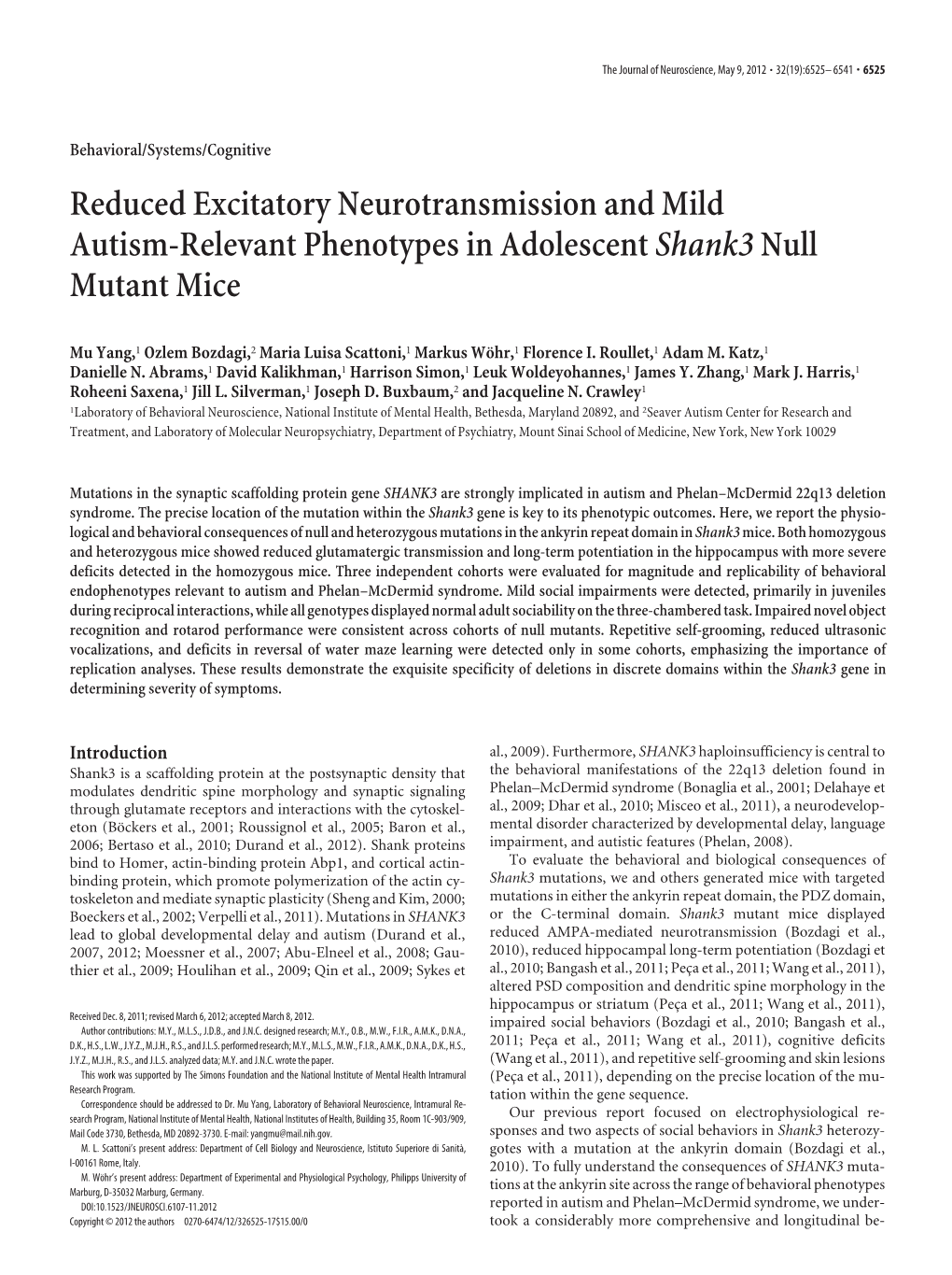 Reduced Excitatory Neurotransmission and Mild Autism-Relevant Phenotypes in Adolescent Shank3 Null Mutant Mice