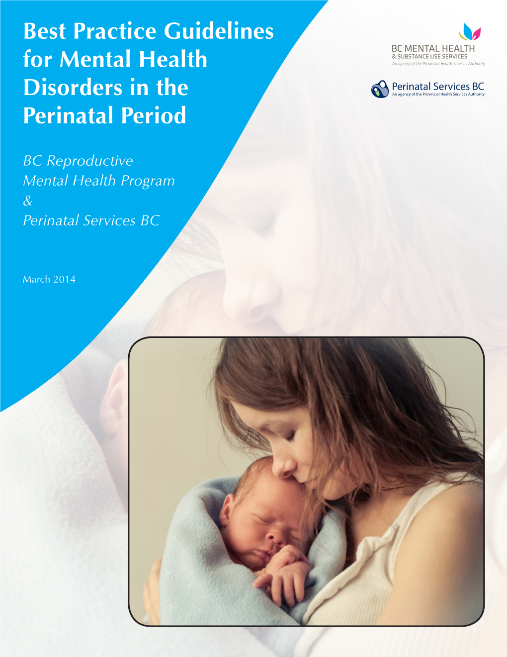 Best Practice Guidelines for Mental Health Disorders in the Perinatal Period