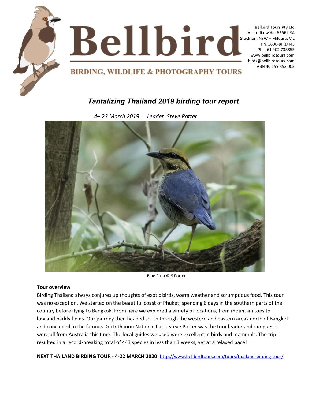Bellbird Birding Tours