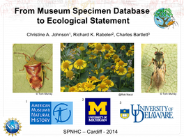 From Museum Specimen Database to Ecological Statement