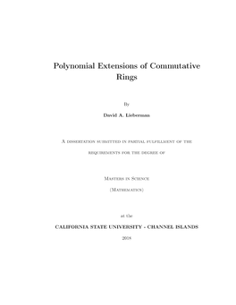 Polynomial Extensions of Commutative Rings