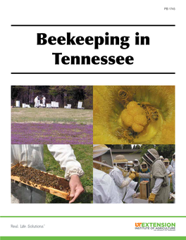 Beekeeping in Tennessee