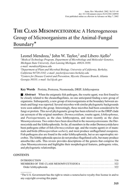 Group of Microorganisms at the Animal-Fungal Boundary