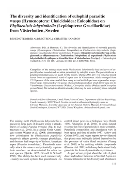 The Diversity and Identification of Eulophid Parasitic Wasps (Hymenoptera: Chalcidoidea: Eulophidae) on Phyllocnistis Labyrinthe