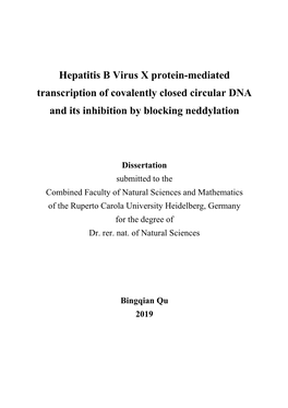Hepatitis B Virus X Protein-Mediated Transcription of Covalently Closed Circular DNA and Its Inhibition by Blocking Neddylation