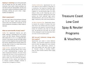 Treasure Coast Low Cost Spay & Neuter Programs & Vouchers