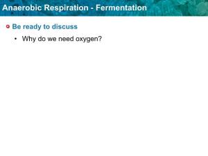 Anaerobic Respiration - Fermentation