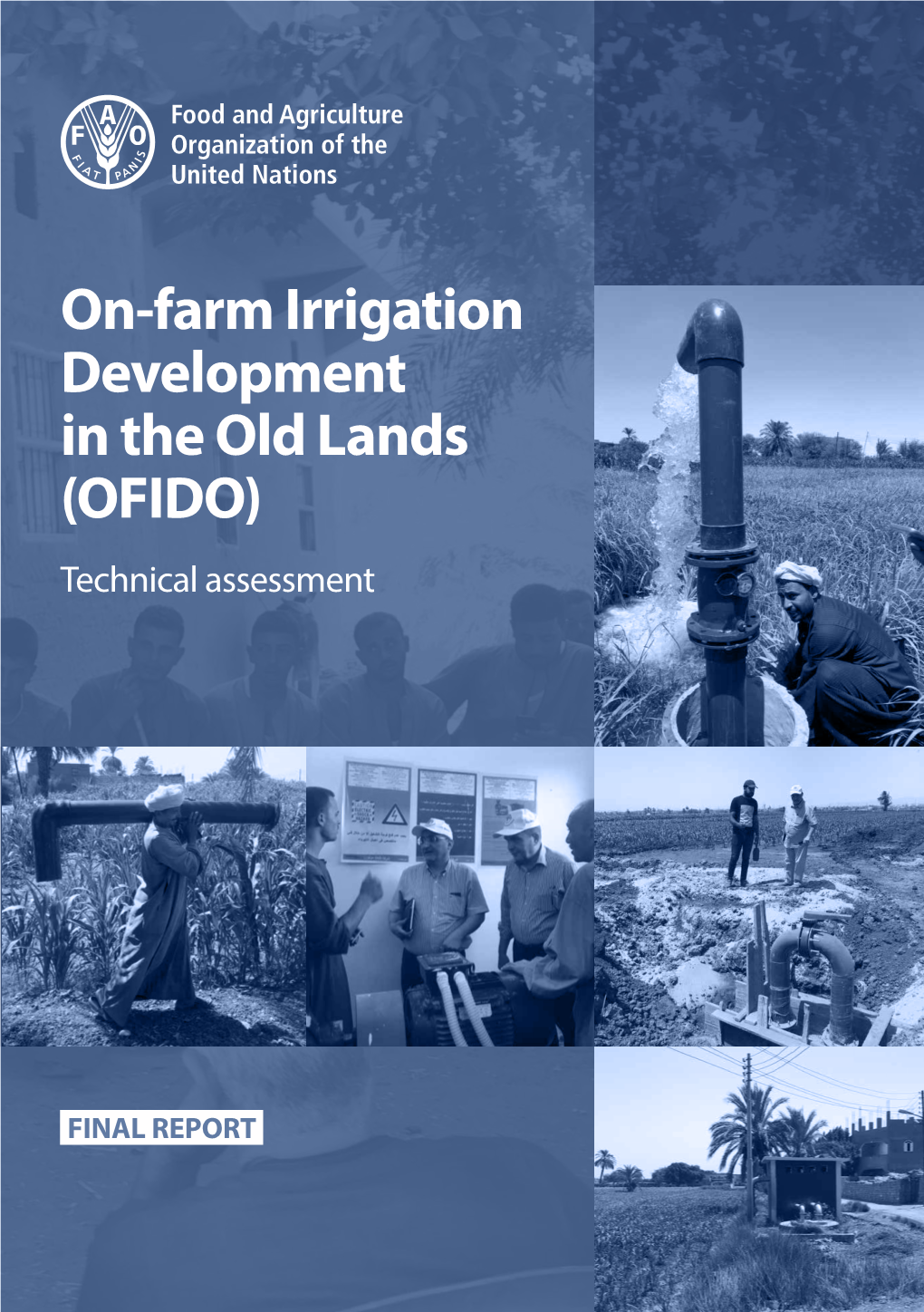 On-Farm Irrigation Development Project in the Old Lands (OFIDO)